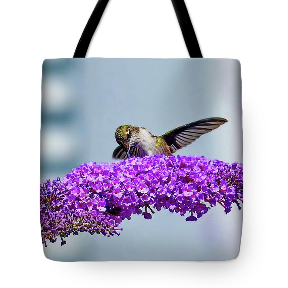 Ruby-throated Hummingbird Tote Bag featuring the photograph Female Ruby-throated Hummingbird by Lyuba Filatova
