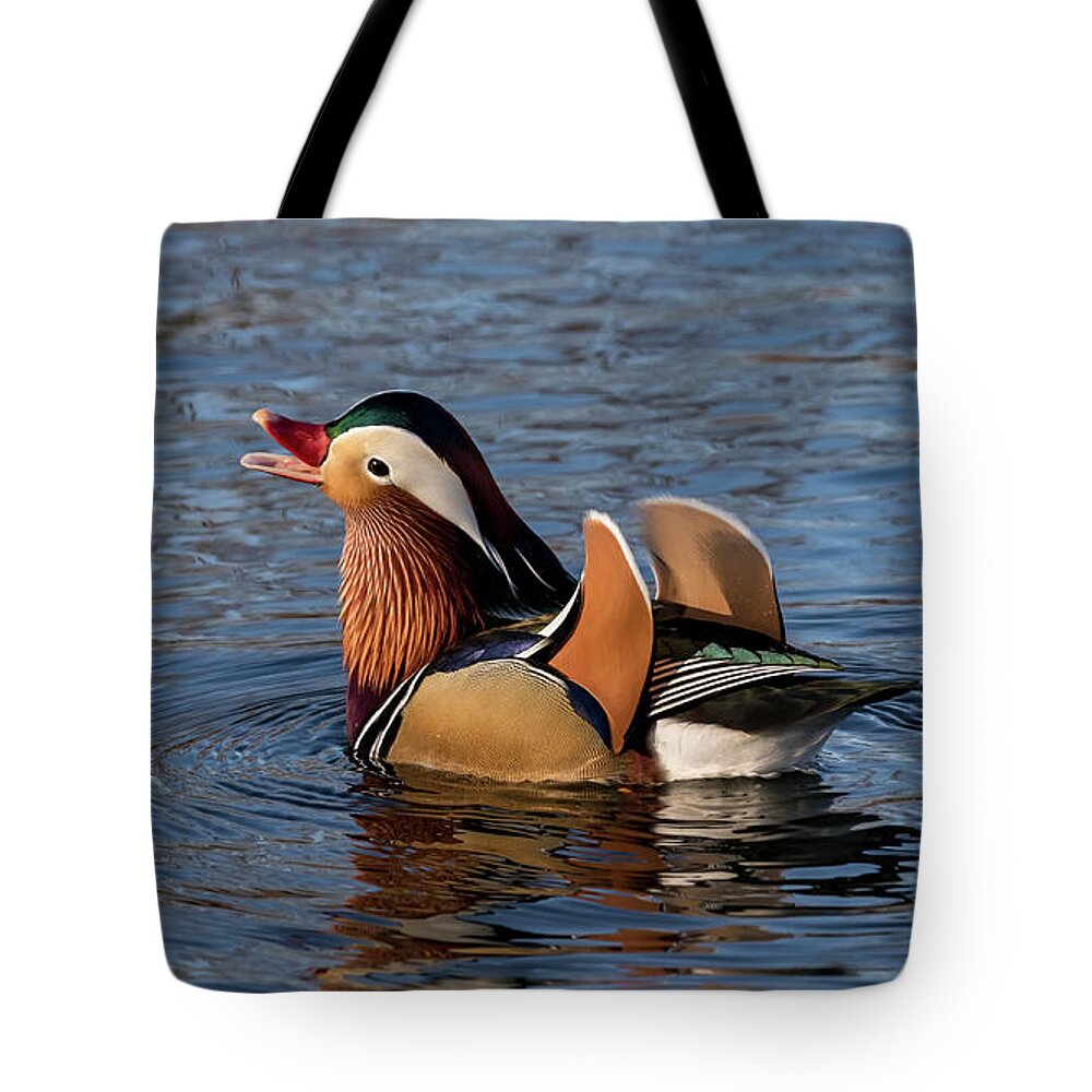 Mandarin Duck Tote Bag featuring the photograph Ferdinand by Holly Ross