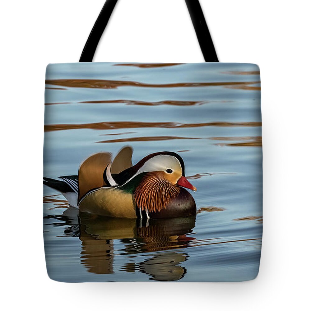 St. Ferdinand Park Tote Bag featuring the photograph Ferdinand, the Mandarin Duck by Holly Ross