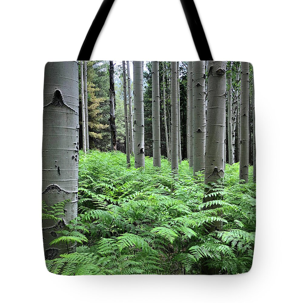 Arizona Tote Bag featuring the photograph Ferns in an Aspen Grove by Jeff Goulden