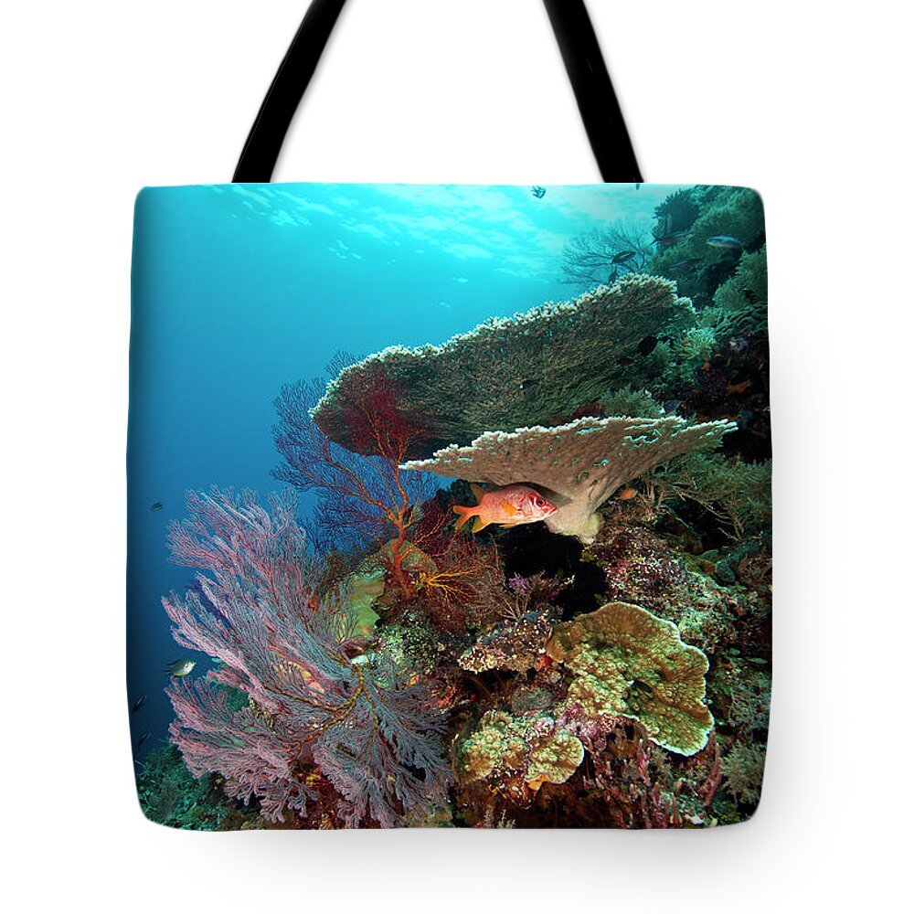 Underwater Tote Bag featuring the photograph Ferns Wall Reef Scene by Michele Westmorland