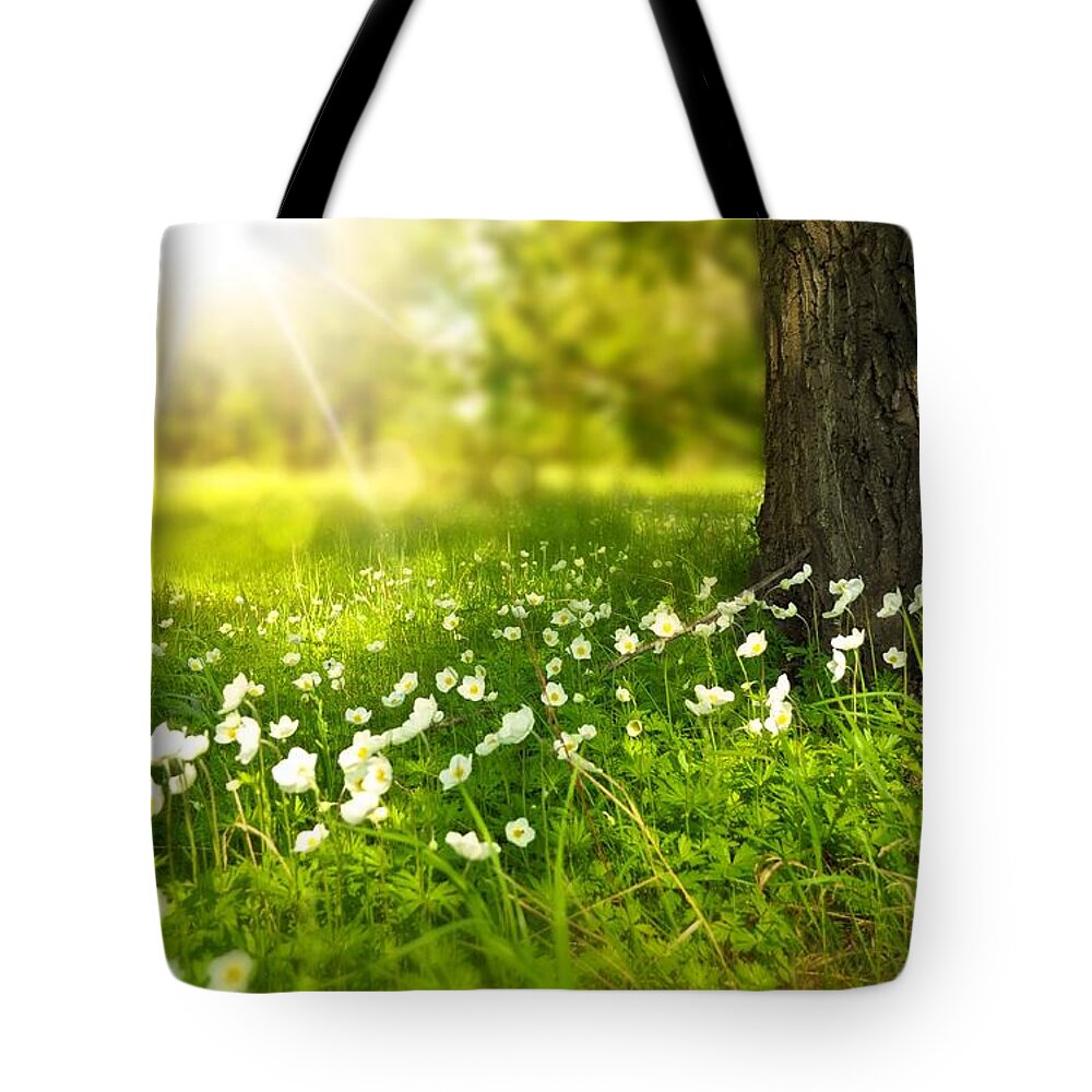 Flowers Tote Bag featuring the photograph Field of daisies by Top Wallpapers
