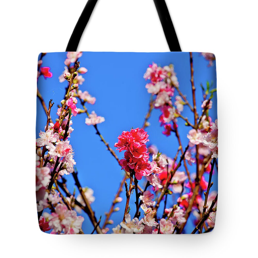 Pinks And Blues Tote Bag featuring the photograph Pinks and Blues by Az Jackson