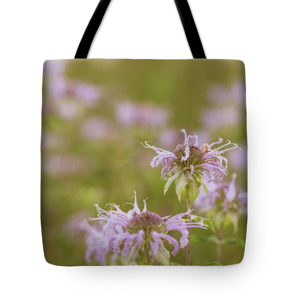 Nature Tote Bag featuring the photograph Nature Photography - Flowers #1 by Amelia Pearn