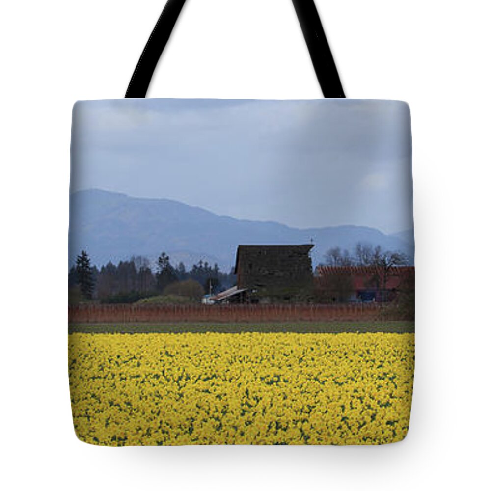 Pano Tote Bag featuring the photograph Fields of Daffodils by Briand Sanderson