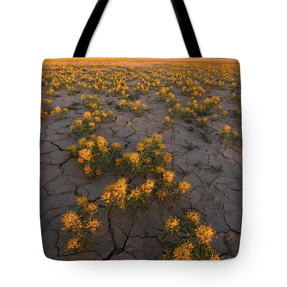 Factory Butte Tote Bag featuring the photograph Fields of Gold by Dustin LeFevre