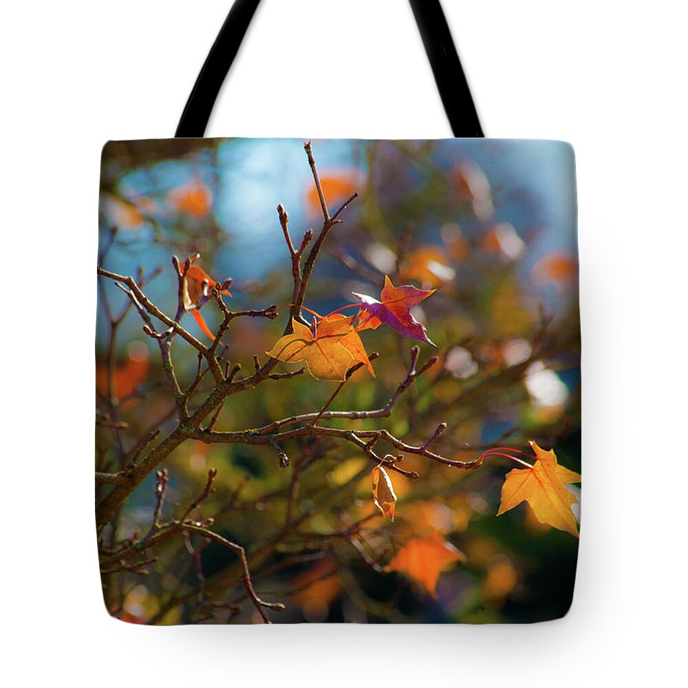 Fall Leaves Tote Bag featuring the photograph Fiery Autumn by Bonnie Bruno