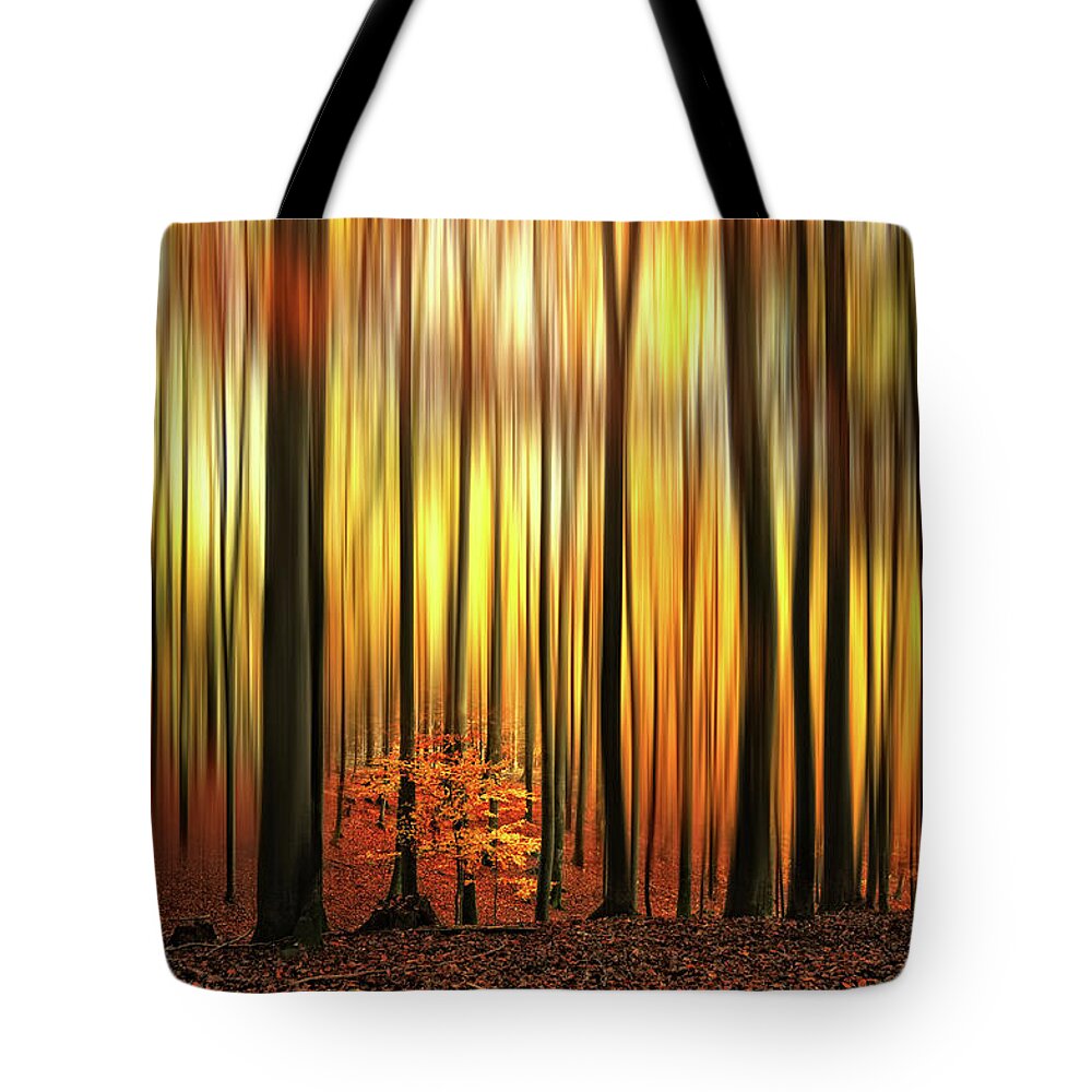 Forest Tote Bag featuring the photograph Firewall by Philippe Sainte-Laudy