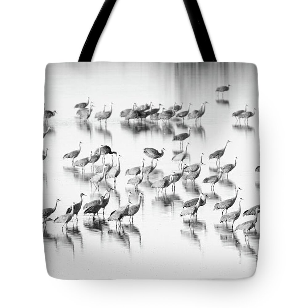 Richard E. Porter Tote Bag featuring the photograph First One Off - Muleshoe Wildlife Refuge, Texas by Richard Porter