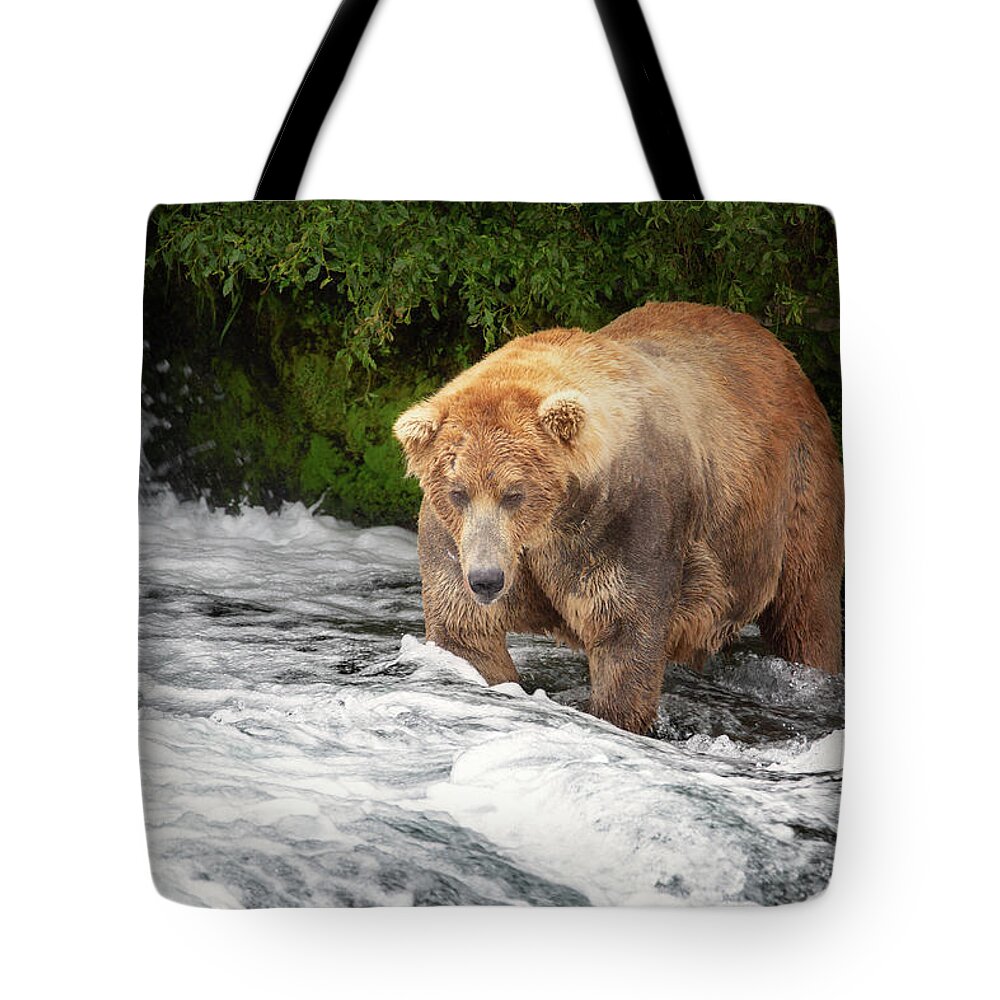 Alaska Tote Bag featuring the photograph Fishing next to cliff by Alex Mironyuk