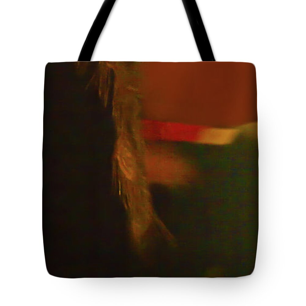 Abanicos Tote Bag featuring the photograph Flamenco Series 2 by Catherine Sobredo