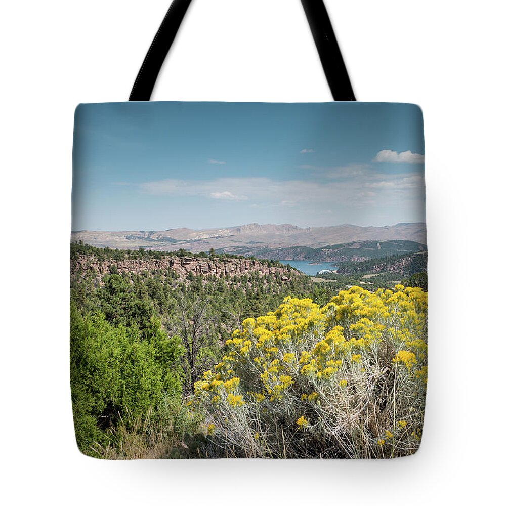 Flaming Gorge Tote Bag featuring the photograph Flaming Gorge Chamisa by Patricia Gould