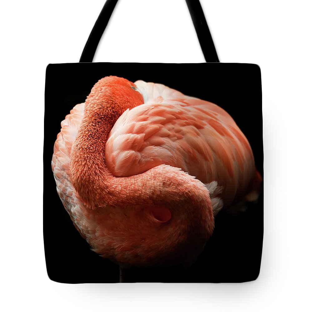Black Background Tote Bag featuring the photograph Flamingo by Tomml