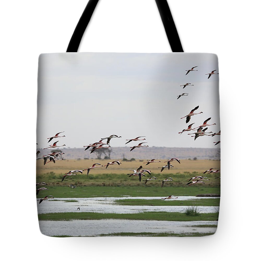 Kenya Tote Bag featuring the photograph Flamingos, Amboseli National Park, Kenya by Vincenzo Lombardo