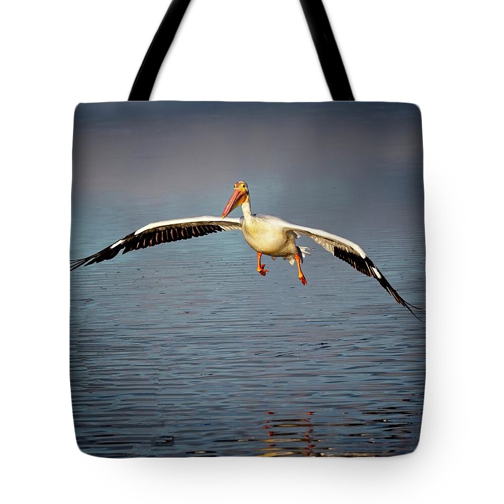 White Tote Bag featuring the photograph Flaps Down by Ronald Lutz