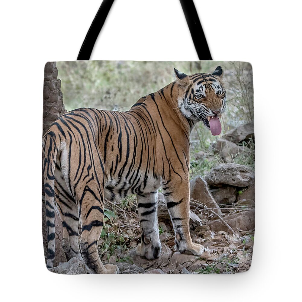 Tiger Tote Bag featuring the digital art Flehmen Response by Pravine Chester