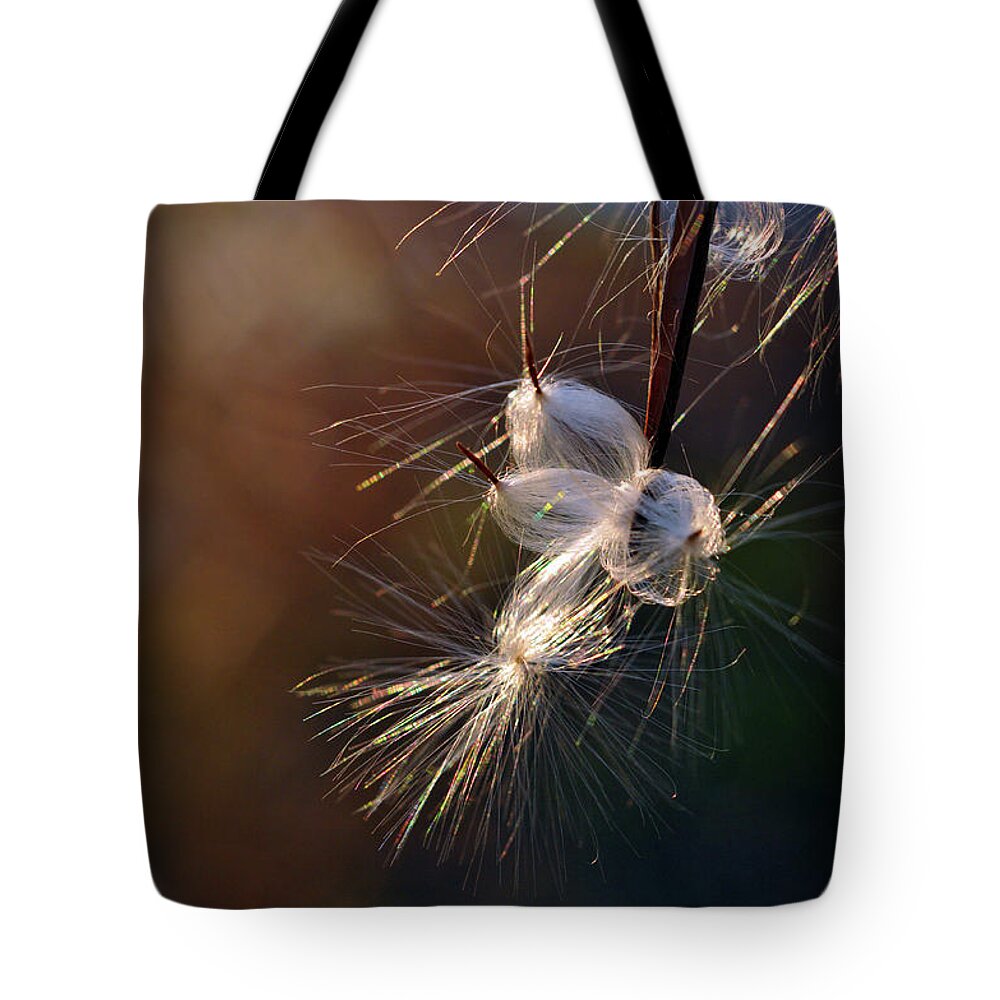 Milkweed Tote Bag featuring the photograph Flight by Michelle Wermuth