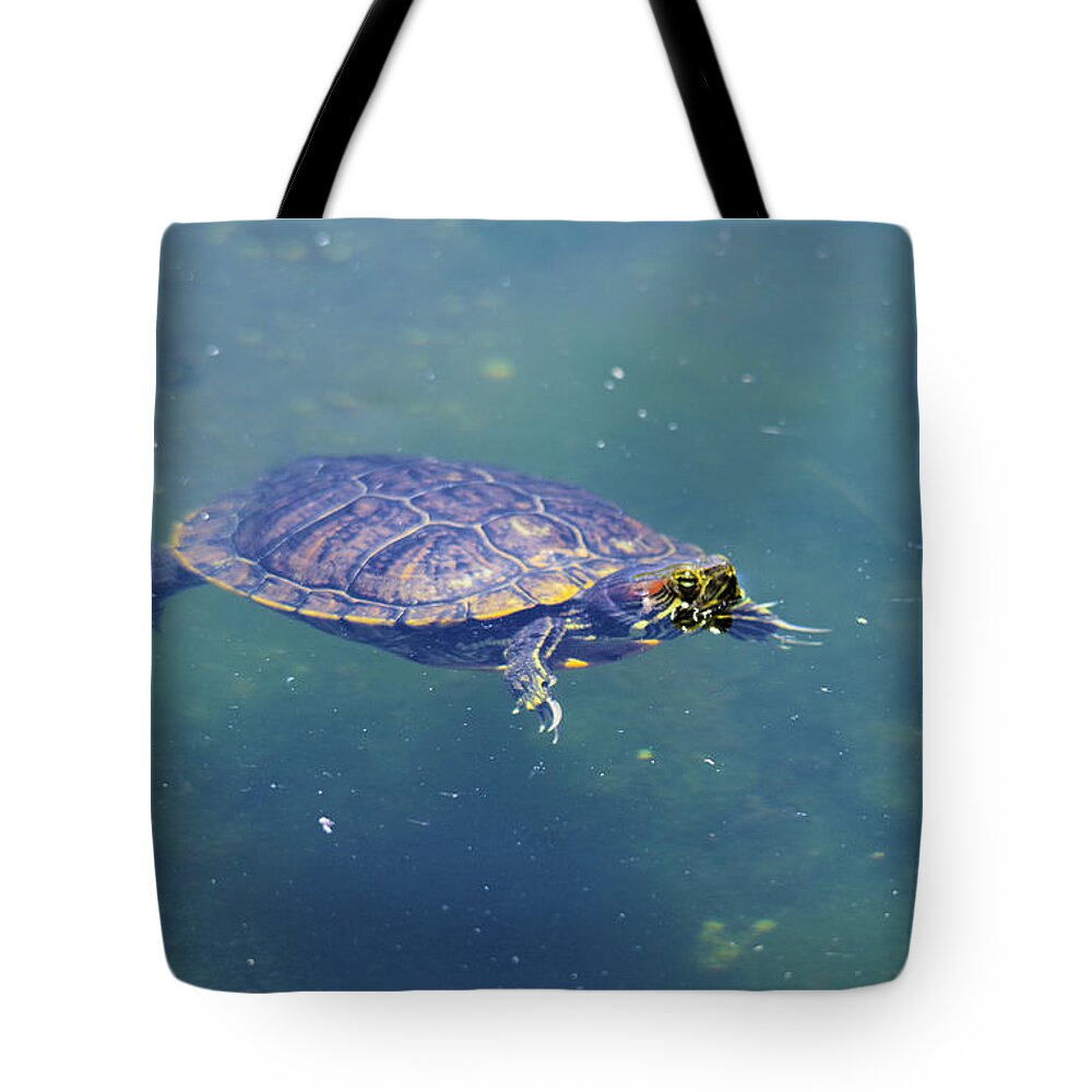 Turtle Tote Bag featuring the photograph Floating turtle by Jeff Swan