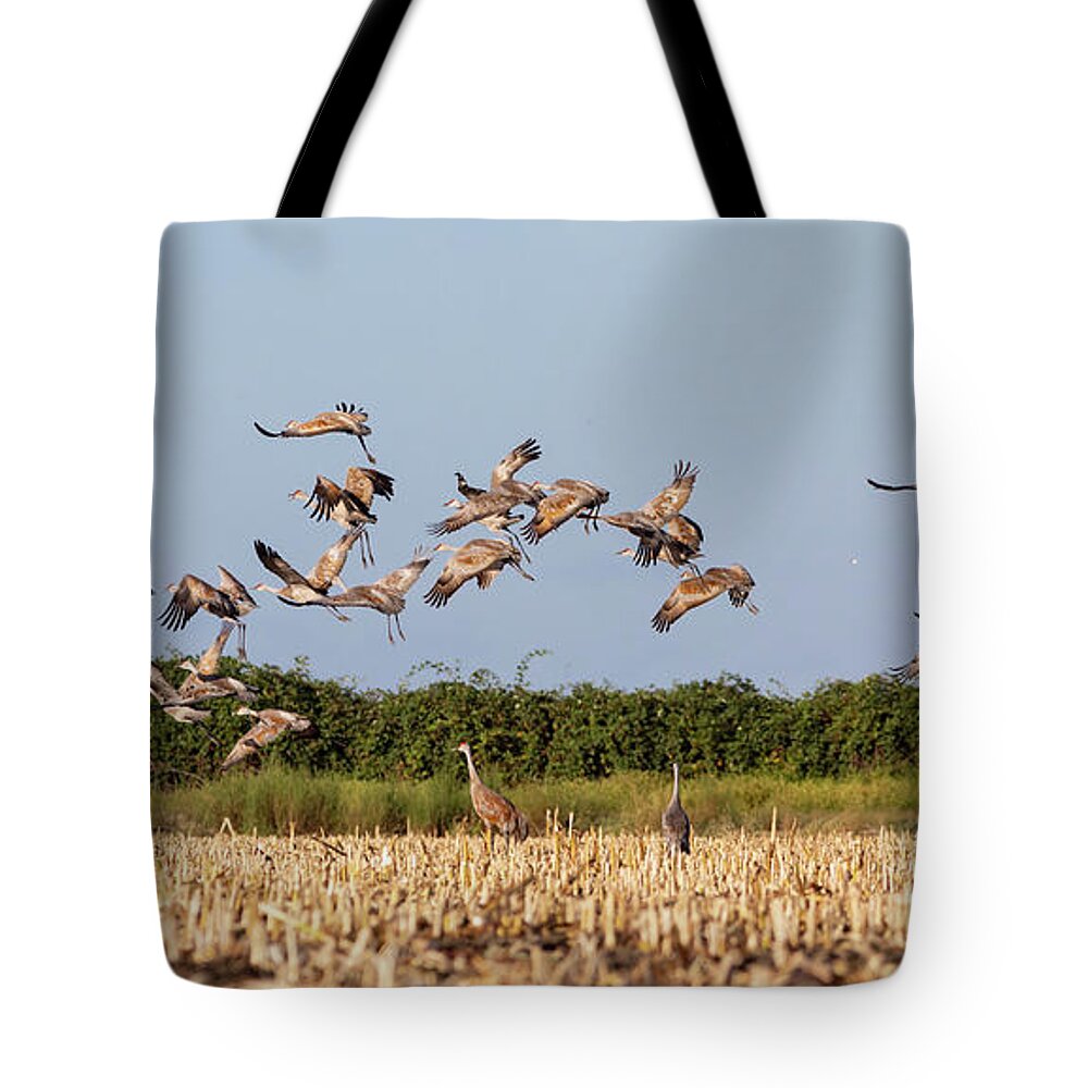 Cranes Tote Bag featuring the photograph Flock of Cranes Take Off by Lisa Malecki
