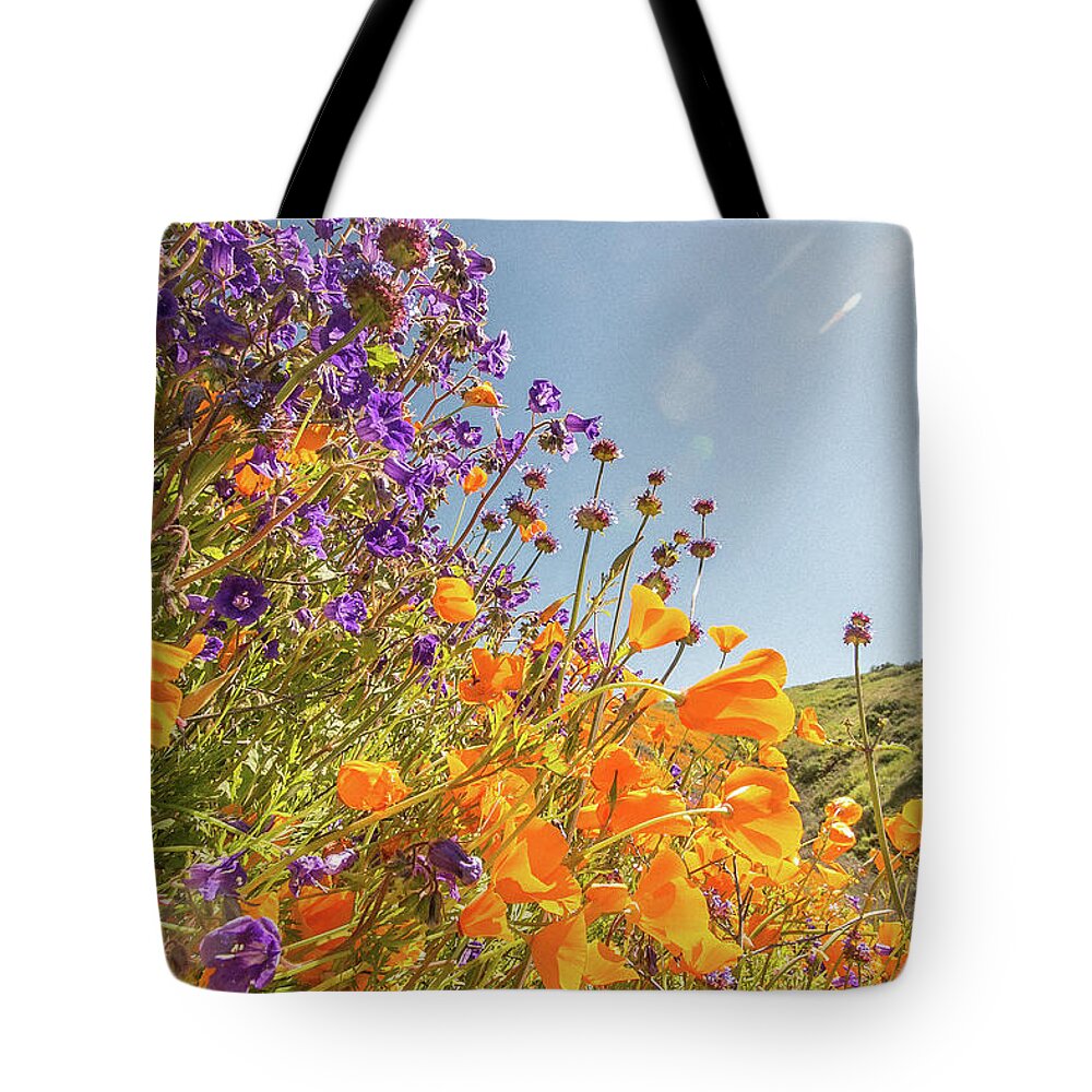 Flowers Tote Bag featuring the photograph Flora 10 by Ryan Weddle