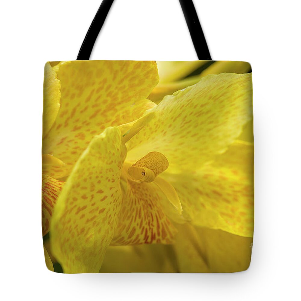 Photographs Tote Bag featuring the photograph Flower, A Soul Blossoming in Nature by Felix Lai