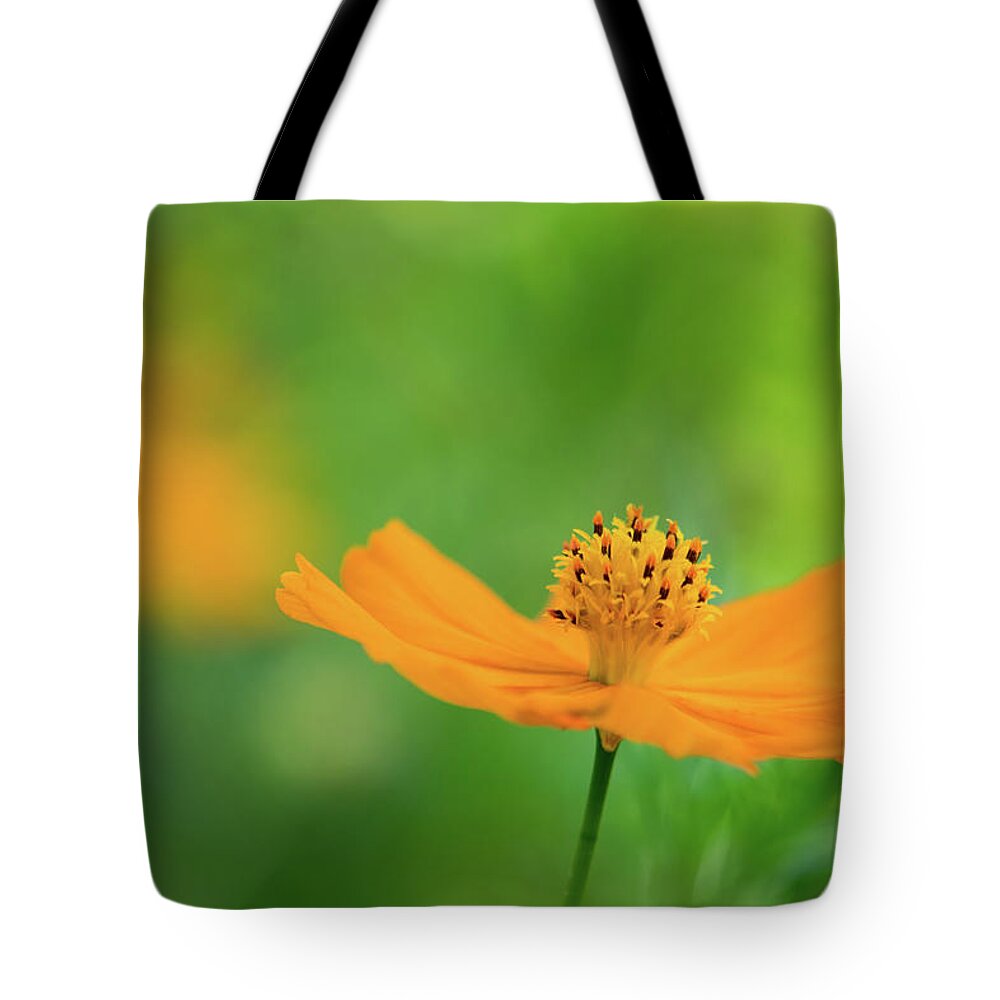 Orange Tote Bag featuring the photograph Flower Dance in Orange by Liz Albro