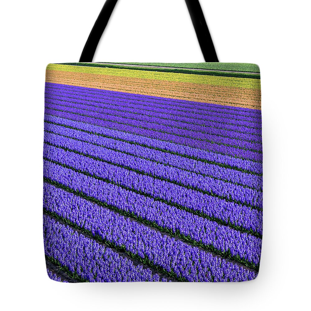 Tranquility Tote Bag featuring the photograph Flower Fields In Spring In Holland by Frans Sellies