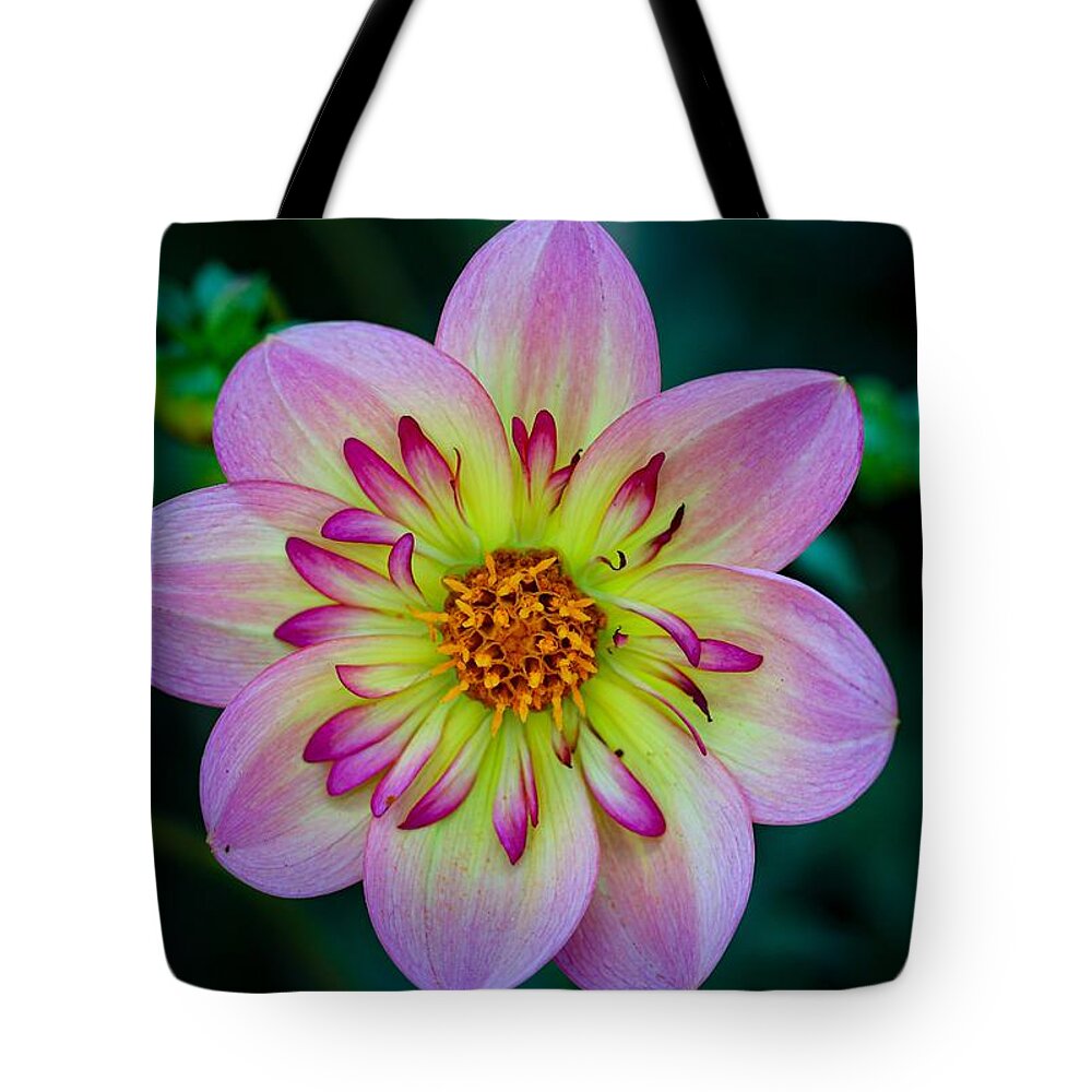 Flower Tote Bag featuring the photograph Flower 3 by Anamar Pictures