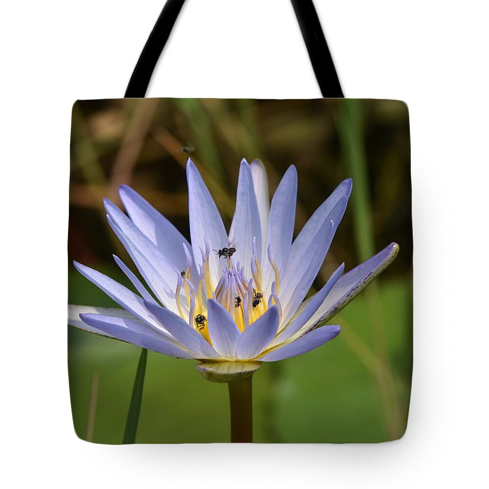 Flower Tote Bag featuring the photograph South African Water Lily With Pollinators by Ben Foster