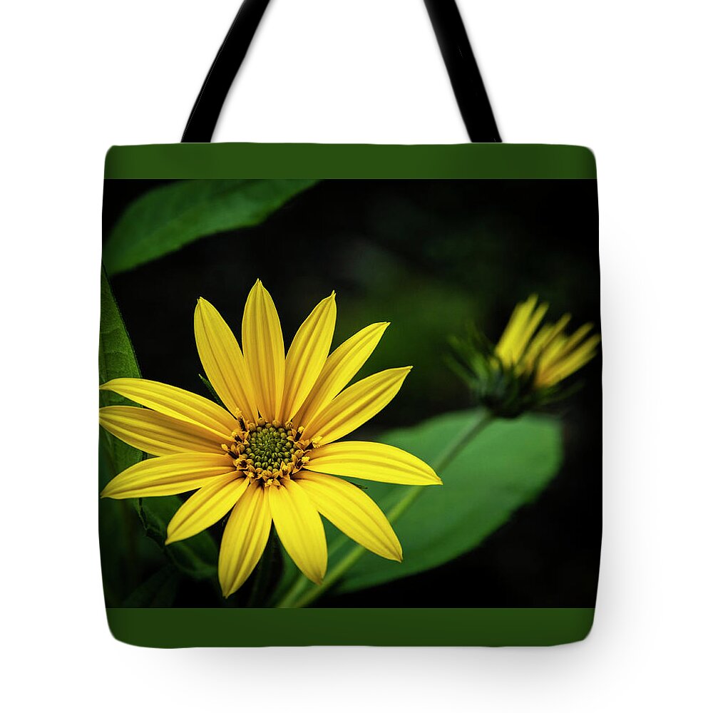 Maine Tote Bag featuring the photograph Flower Without Sun by Ray Silva