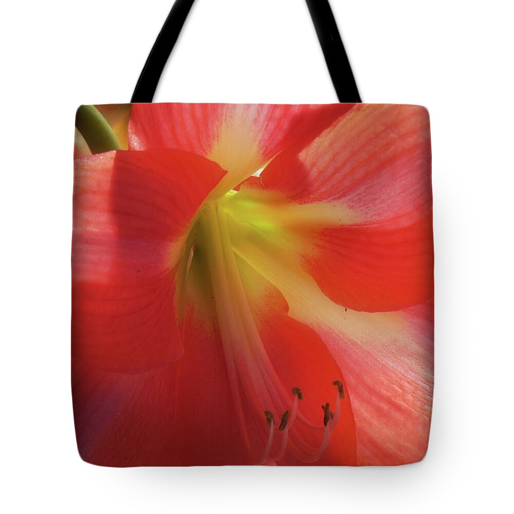 Flowers Tote Bag featuring the photograph Flowering Beauty I by Kathi Isserman