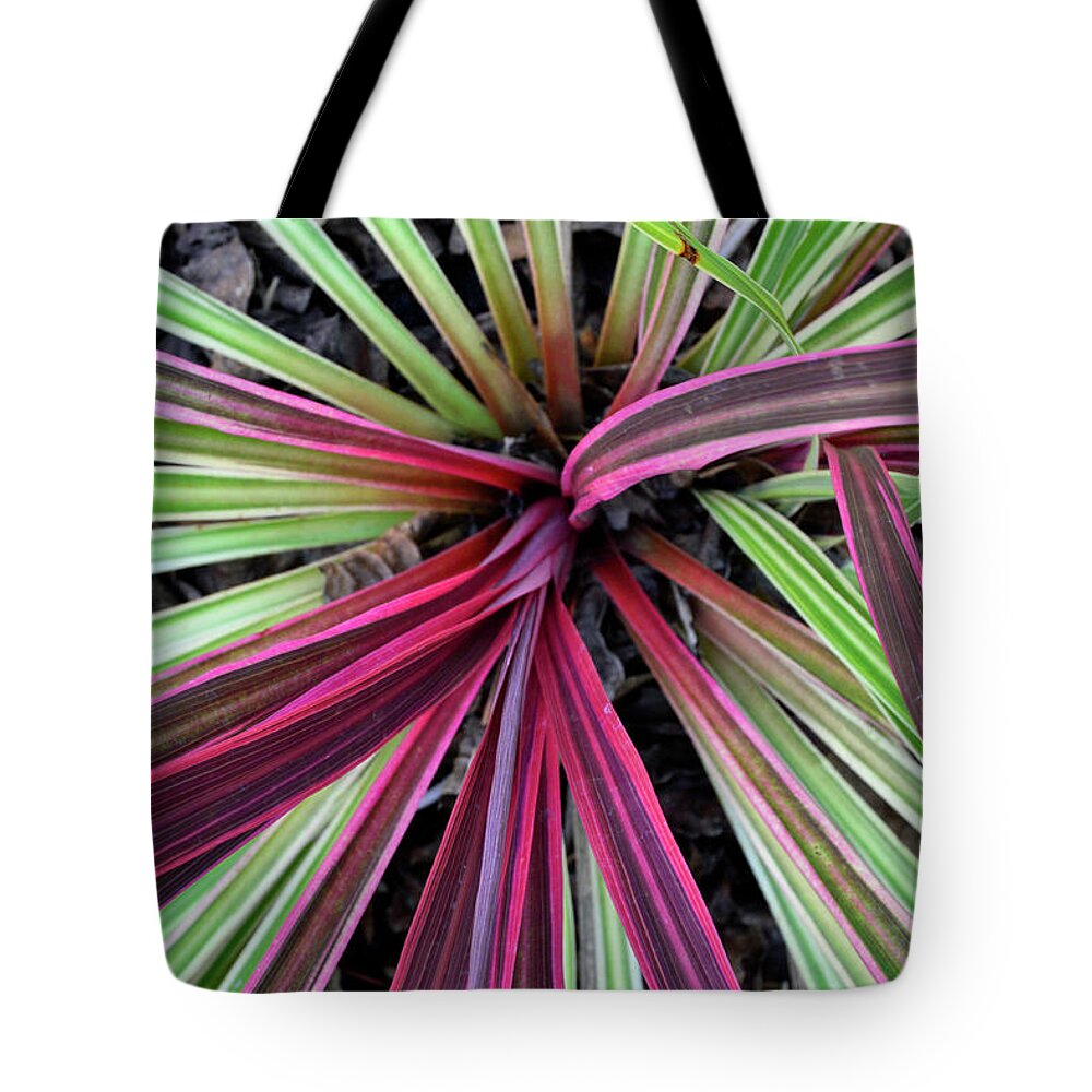 Birds Tote Bag featuring the photograph Flowering Spiral by Bruce Gourley