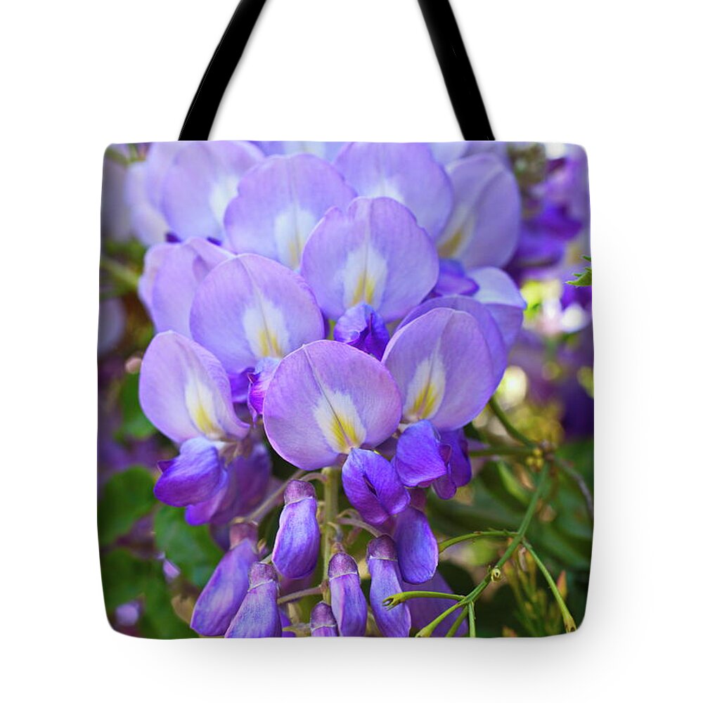 Wisteria Tote Bag featuring the photograph Flowers by Alex Viefhaus