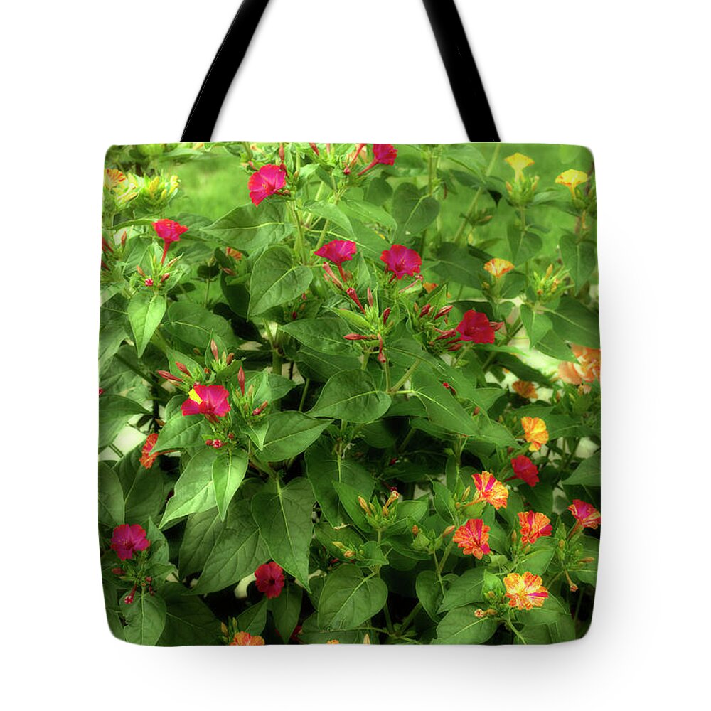 Garden Tote Bag featuring the photograph Flowers At Sunset by Vivida Photo PC