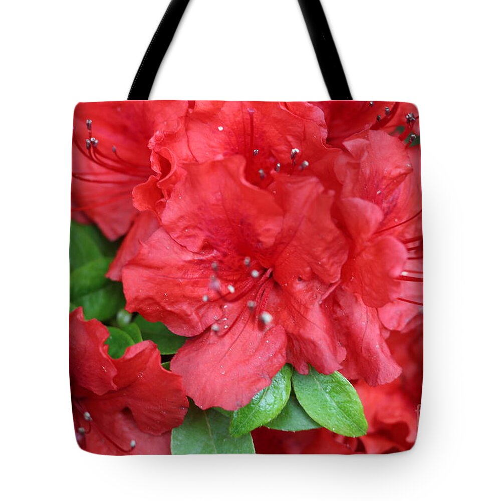 Flowers Blooming Tote Bag featuring the photograph Flowers Blooming by Barbra Telfer