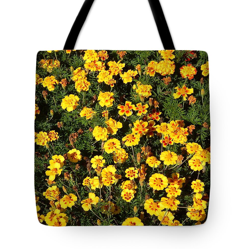 Background Tote Bag featuring the photograph Flowers in the garden and close-up for background by Oleg Prokopenko