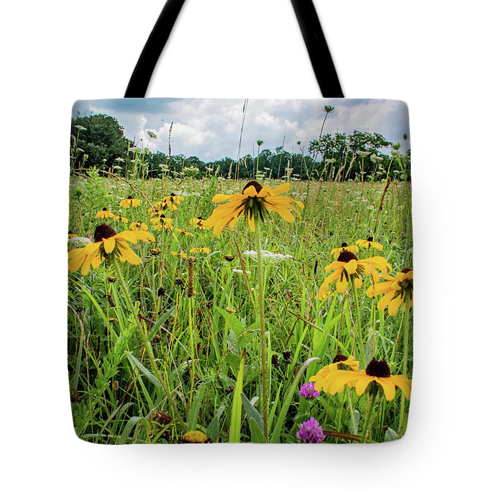 Clover Tote Bag featuring the photograph Flowers of the Field, Cades Cove by Marcy Wielfaert