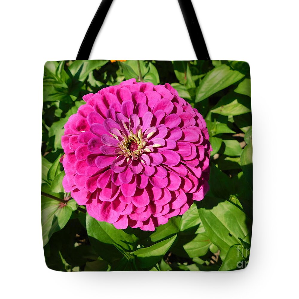 Fluffy Purple Tote Bag featuring the photograph Fluffy Purple by Barbra Telfer