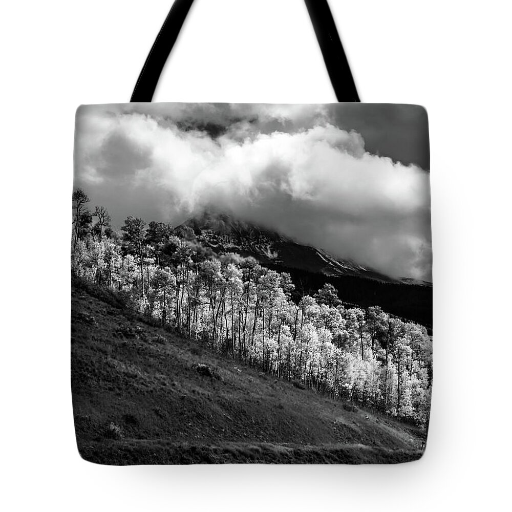 Mount Wilson Peak Tote Bag featuring the photograph Fluorescent Autumn Aspens by Norma Brandsberg