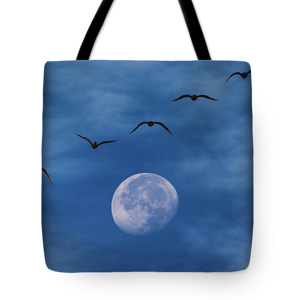 Moon Tote Bag featuring the photograph Fly Me to the Moon by Darren White
