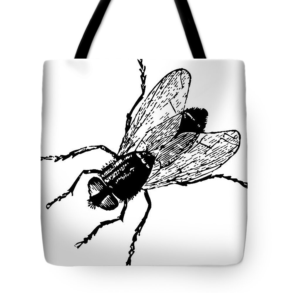  Tote Bag featuring the painting Fly Tee by Steve Fields