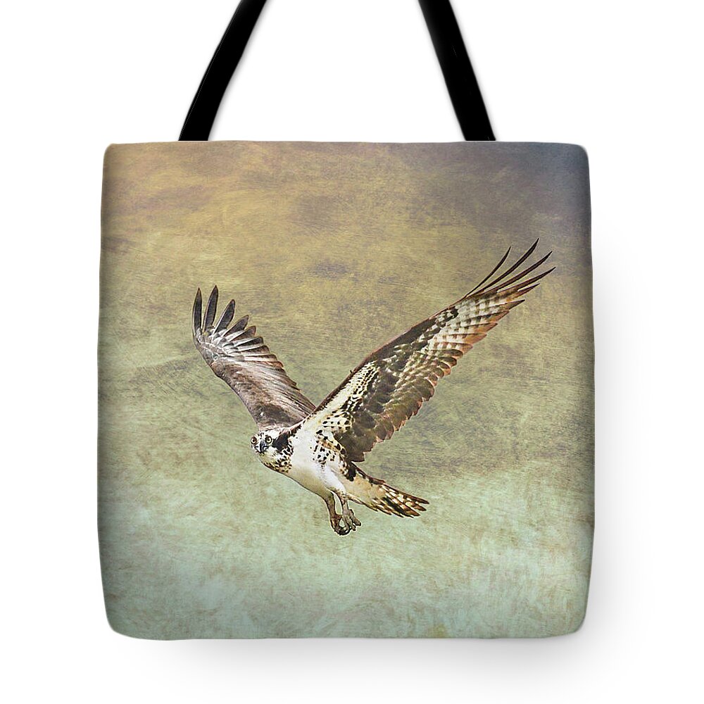 Osprey Tote Bag featuring the photograph Flying Osprey by Jennifer Grossnickle