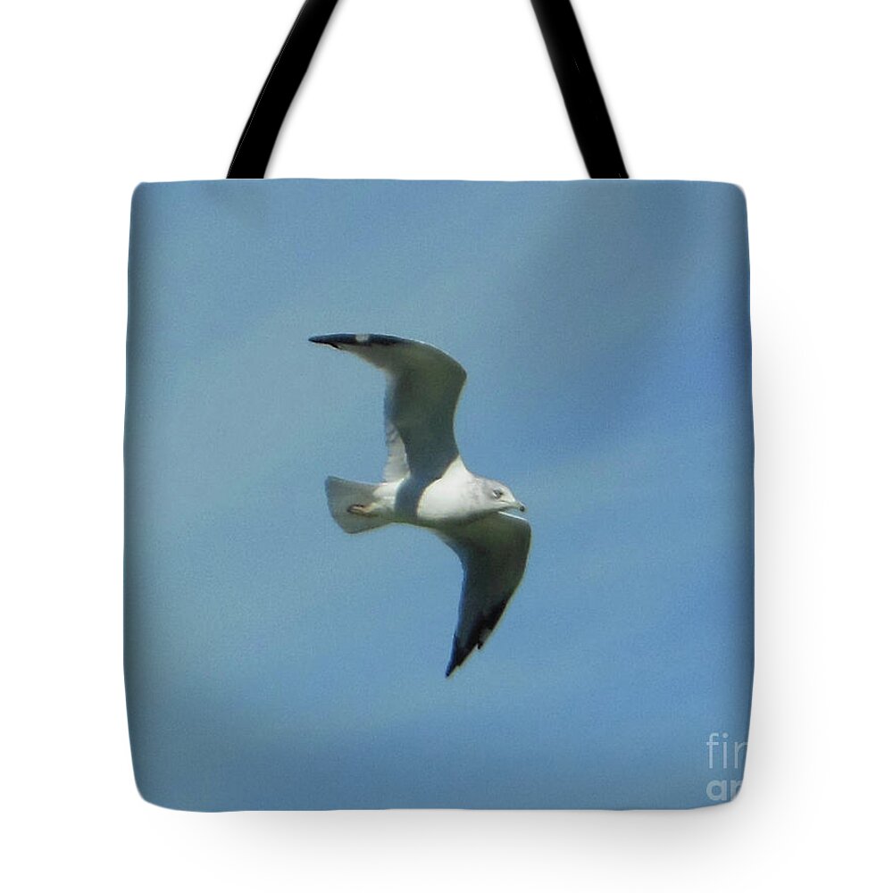 Flying Seagull Tote Bag featuring the photograph Flying Seagull by Rockin Docks
