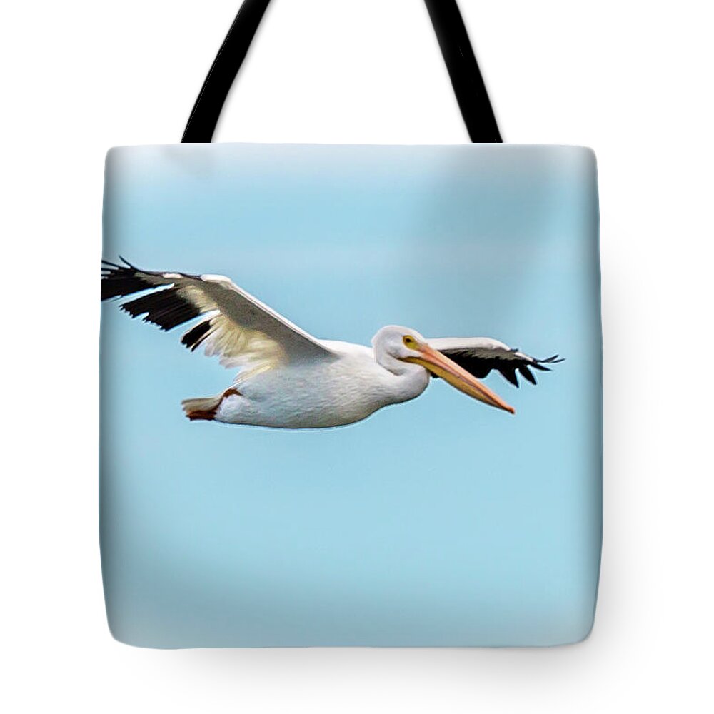 Pelican Tote Bag featuring the photograph Flying White Pelican by David Wagenblatt