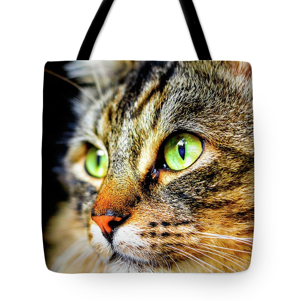 Cat Tote Bag featuring the digital art Focused Cat by Rick Deacon