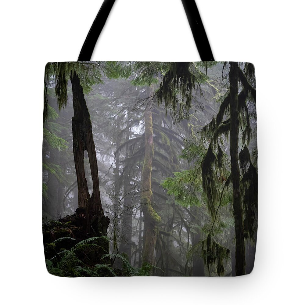 Fog Tote Bag featuring the photograph Foggy Forest by Steven Clark