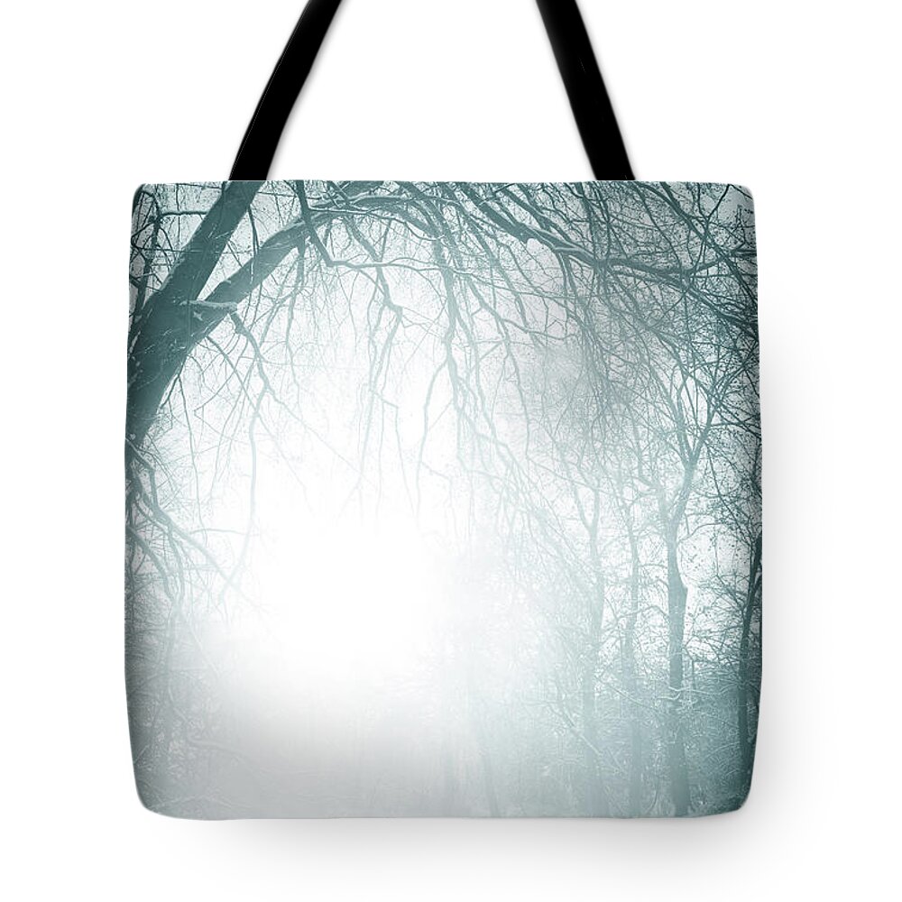 Shadow Tote Bag featuring the photograph Foggy Old Trees Near The Road In Winter by Kamisoka