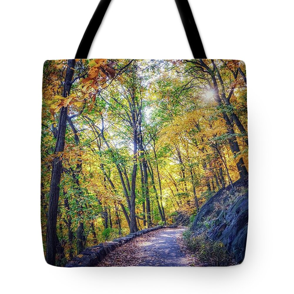 Inwood Tote Bag featuring the photograph Follow by Shannon Kelly