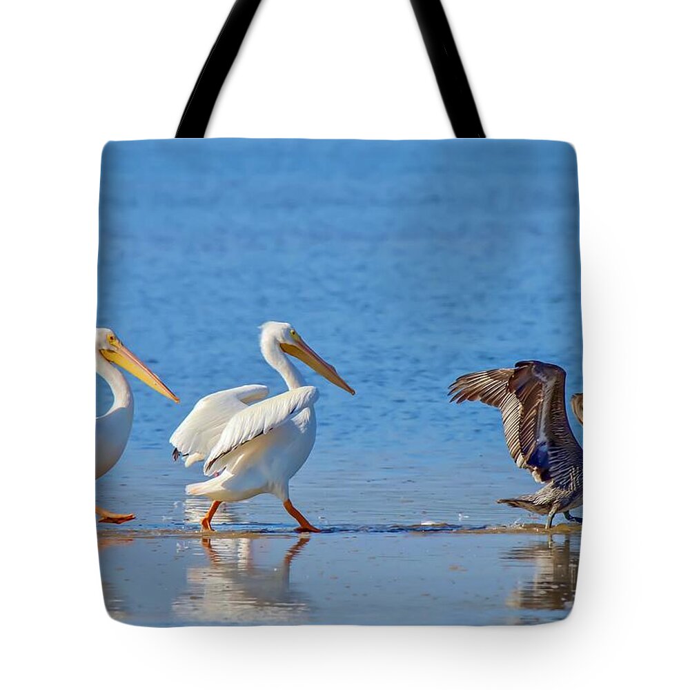 Pelican Tote Bag featuring the photograph Follow the Leader by Susan Rydberg