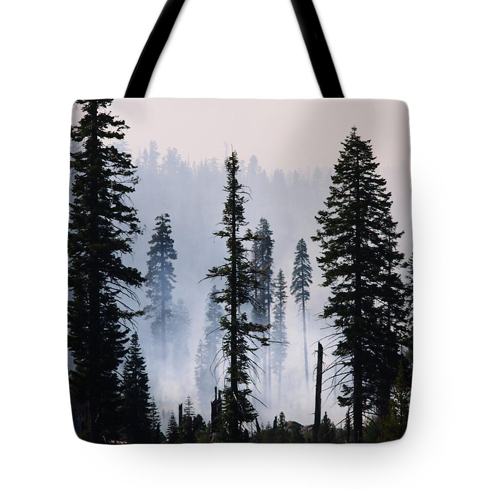 Environmental Conservation Tote Bag featuring the photograph Forest Management Burn In Yosemite by Wirehead Arts